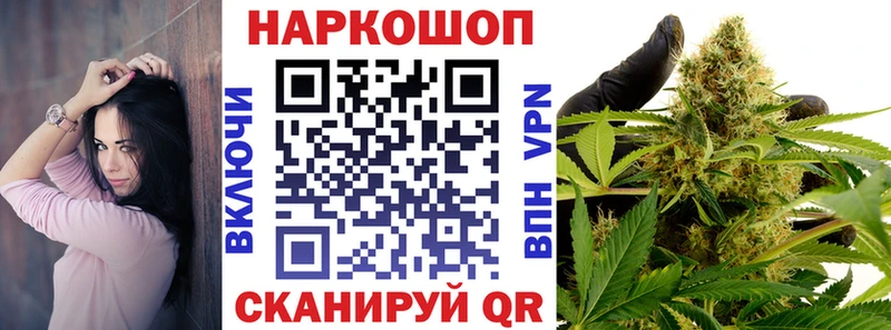Галлюциногенные грибы Теберда