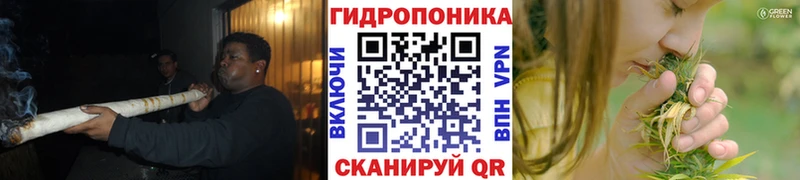 Канабис сатива  Купить где  Теберда 